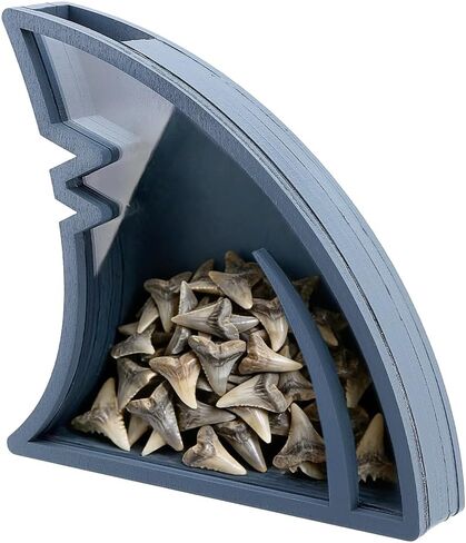 PH PandaHall Acrylic Shark Fin Display Case Gray Shark Shaped Shadow Box Acrylic Display Stand for Home Decor Office Display Shark Teeth Gift, 6.3x1.1x6.1 inch in Kuwait