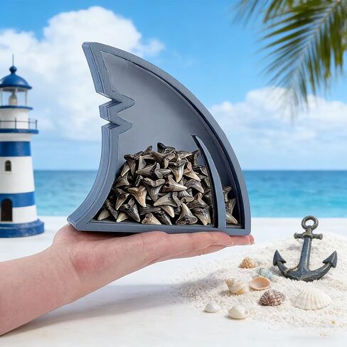 PH PandaHall Acrylic Shark Fin Display Case Gray Shark Shaped Shadow Box Acrylic Display Stand for Home Decor Office Display Shark Teeth Gift, 6.3x1.1x6.1 inch in Kuwait
