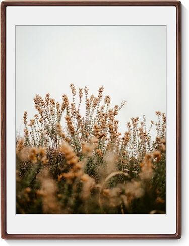 Axeman 18x24 Frame, Solid Walnut Wood Frame with Tempered Glass, Rounded Corner 18 x 24 Poster Frame with Mat for 16x20, Horizontal & Vertical Wall Display, Hanging Hardware Included in Saudi Arabia