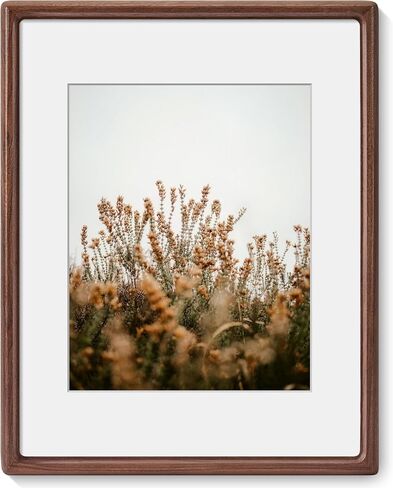 Axeman 18x24 Frame, Solid Walnut Wood Frame with Tempered Glass, Rounded Corner 18 x 24 Poster Frame with Mat for 16x20, Horizontal & Vertical Wall Display, Hanging Hardware Included in Saudi Arabia