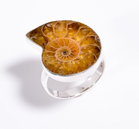 Ammonite Fossil Gemstone Unique Stone 925 Sterling Silver Handmade Statement Boho Ring Gift Jewelry for Women in Kuwait