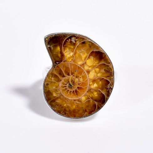 Ammonite Fossil Gemstone Unique Stone 925 Sterling Silver Handmade Statement Boho Ring Gift Jewelry for Women in Kuwait