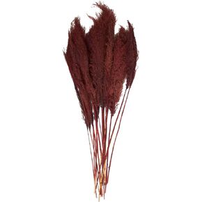 Deco 79 Dried Plant Pampas Grass Natural Foliage with Long Stems, 7" x 3" x 43", Red
