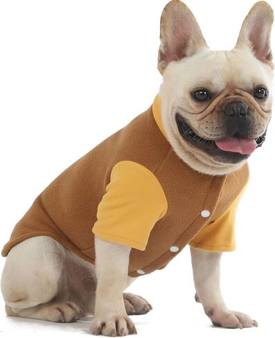 Dog Sweater Clothes for Small Medium Dogs Boy and Girl Small Dog Jacket Winter Coat with O-ring Leash Stretchy Warm Dog Sweatshirt Cat Puppy Apparel Accessorie (XX-Small, Dark Grey,Turquoise,Indigo) in Saudi Arabia