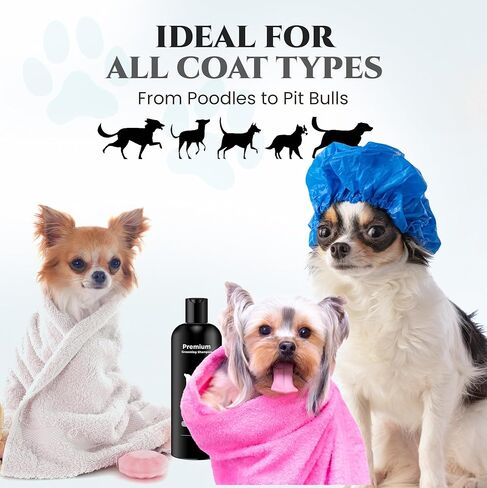 605Products - Natural Dog Shampoo for Itchy and Sensitive Skin, Puppy Shampoo and Odor Eliminator for Smelly Dogs and Puppies, Pet Shampoo and Deodorizer - Dog Bath Supplies (Show Dog, 2 Pack) in Saudi Arabia