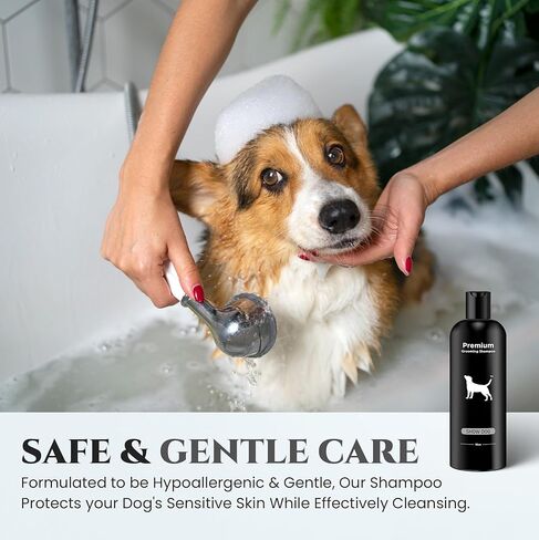 605Products - Natural Dog Shampoo for Itchy and Sensitive Skin, Puppy Shampoo and Odor Eliminator for Smelly Dogs and Puppies, Pet Shampoo and Deodorizer - Dog Bath Supplies (Show Dog, 2 Pack) in Saudi Arabia