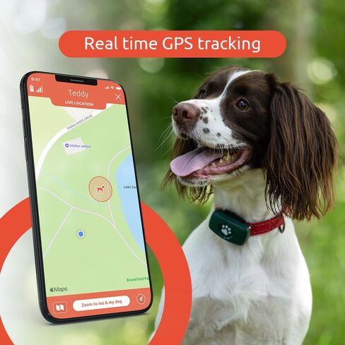 جهاز تعقب PitPat GPS للكلاب - بدون رسوم اشتراك - مناسب لجميع الكلاب ويناسب جميع الياقات - جهاز تعقب ذكي للأنشطة، تتبع عبر الأقمار الصناعية مع نطاق غير محدود - جهاز تعقب الحيوانات الأليفة مقاوم للماء بنسبة 100% (أحمر) in Kuwait
