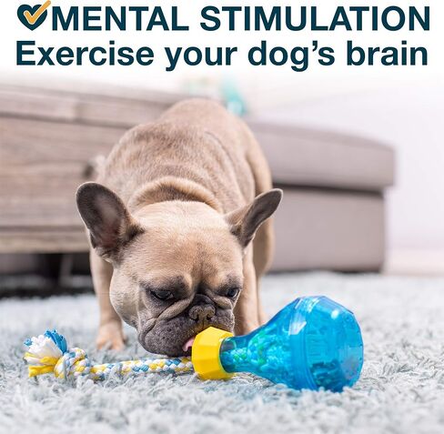لعبة أحجية وحبل للكلاب من OurPet (6 بوصات)، لعبة زجاجة علاج الذكاء للكلاب الصغيرة، التحفيز الذهني، صحة الأسنان، التغذية البطيئة in Kuwait