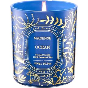 M&SENSE Wild Peony Soy Candle, Romantic Date Night 55H Long Burning Gift | Slow Burn Long Burning, Clean Soy Wax Cotton Wick, Romantic Dinner Rooms Ambiance, Spring Summer Floral, Reusable Matte Jar in Saudi Arabia