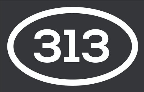 313 Area Code Sticker Michigan Detroit Allen Park Dearborn City Pride Double Sided Stainless Steel Keychain Key Ring Chain Holder Car/Key Finder in Saudi Arabia