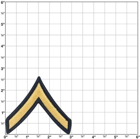 Army E2 PVT2 Chevrons Stripes Blue Gold for ASU Male Pair in Kuwait