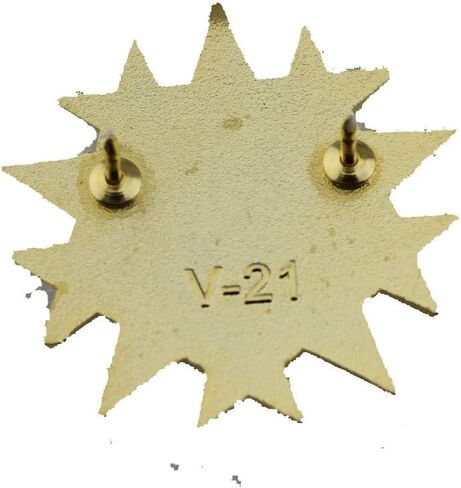 US army General Officer Six Star Badge Pin Insignia- pair in Saudi Arabia