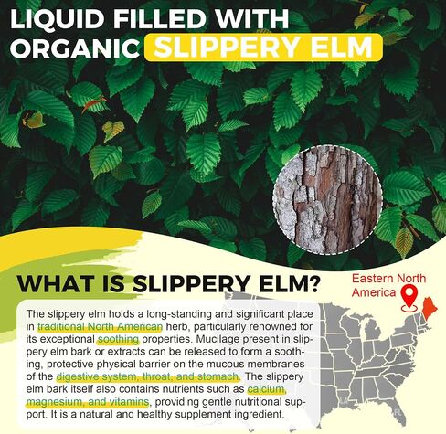 Slippery Elm Liquid Drops, Marshmallow Root, Slippery Elm Bark Tincture with DGL Licorice Extract, Digestive Balance, Soothing Throat Support & Stomach Comfort, Vegan, 60ML in Saudi Arabia