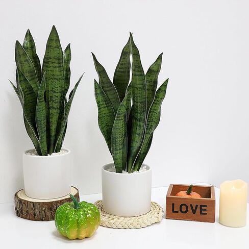 Faux Plants, Artificial Snake Plant Set of 2, Faux Snake Plant with Pure White Ceramic Pots, Fake Sansevieria for Home Decor Indoor, Office, Living Room, Housewarming Gifts in Saudi Arabia