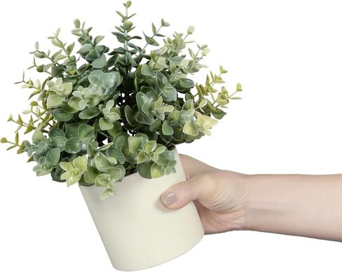 8.5" Artificial Eucalyptus Plant in Cream Pot in Saudi Arabia