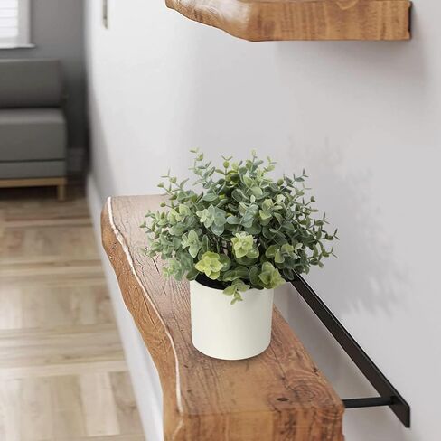 8.5" Artificial Eucalyptus Plant in Cream Pot in Saudi Arabia