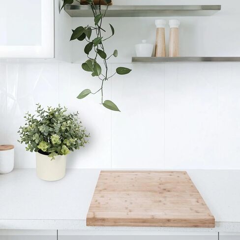 8.5" Artificial Eucalyptus Plant in Cream Pot in Saudi Arabia