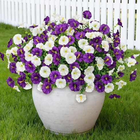 Artificial Flowers for Outdoors, 16 Bundles Mix Color Silk Fake Flowers Morning Glory UV Resistant Eucalyptus Plants Faux Petunias Plants for Porch Garden Planters Window Box Outside Indoor Decor in Kuwait