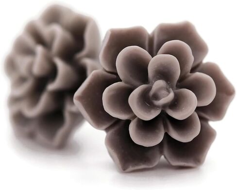 Titanium Succulent Stud Earrings for Sensitive Ears, Hypoallergenic Nickel-Free in Kuwait
