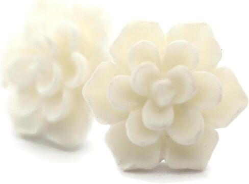 Titanium Succulent Stud Earrings for Sensitive Ears, Hypoallergenic Nickel-Free in Kuwait