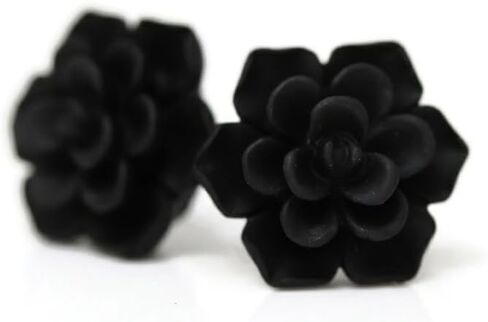 Titanium Succulent Stud Earrings for Sensitive Ears, Hypoallergenic Nickel-Free in Kuwait