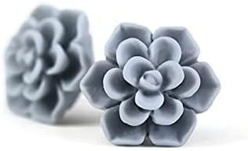 Titanium Succulent Stud Earrings for Sensitive Ears, Hypoallergenic Nickel-Free in Kuwait