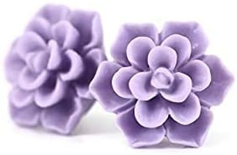 Titanium Succulent Stud Earrings for Sensitive Ears, Hypoallergenic Nickel-Free in Kuwait