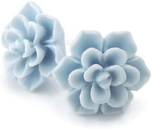 Titanium Succulent Stud Earrings for Sensitive Ears, Hypoallergenic Nickel-Free in Kuwait