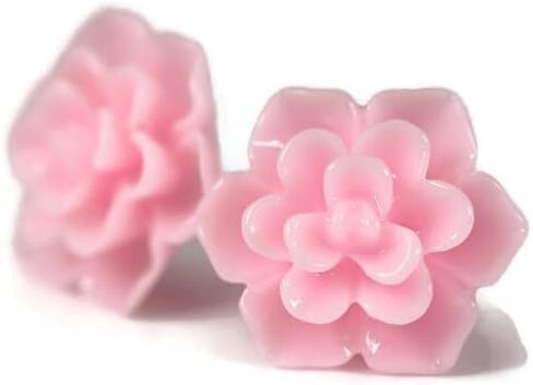 Titanium Succulent Stud Earrings for Sensitive Ears, Hypoallergenic Nickel-Free in Kuwait