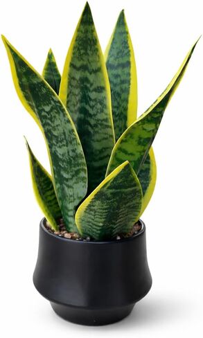 Realistic Artificial Snake Plant 15″ in Ceramic Pot – Faux Sansevieria Indoor Decor – Fake Potted Plant for Bathroom Shelf, Office Desk, Home Living Room Accent, Maintenance‑Free Greenery in Saudi Arabia