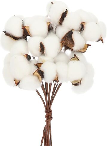 10Pcs Natural Dried Cotton Stems for Farmhouse Decor, 11" Tall Flexible Cotton Flowers Branches Bundle for DIY Vase Fillers, Rustic Sprigs for Wedding Floral Arrangements Christmas Home Decor in Saudi Arabia