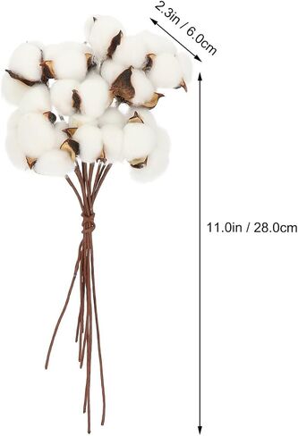 10Pcs Natural Dried Cotton Stems for Farmhouse Decor, 11" Tall Flexible Cotton Flowers Branches Bundle for DIY Vase Fillers, Rustic Sprigs for Wedding Floral Arrangements Christmas Home Decor in Saudi Arabia
