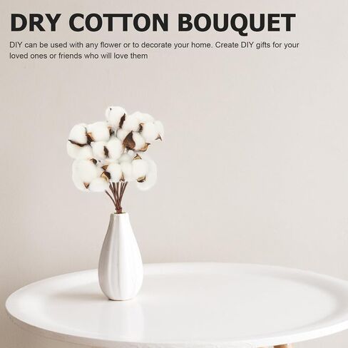 10Pcs Natural Dried Cotton Stems for Farmhouse Decor, 11" Tall Flexible Cotton Flowers Branches Bundle for DIY Vase Fillers, Rustic Sprigs for Wedding Floral Arrangements Christmas Home Decor in Saudi Arabia