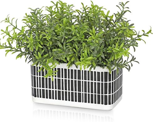 نباتات اصطناعية داخلية نباتات وهمية صغيرة في وعاء ريفي من خشب البقس الصناعي ديكورات خضراء بوعاء نبات للمنزل والمكتب والحمام والمطبخ والمعيشة والمزرعة وطاولة القهوة المركزية ورف المكتب المزخرف in Kuwait