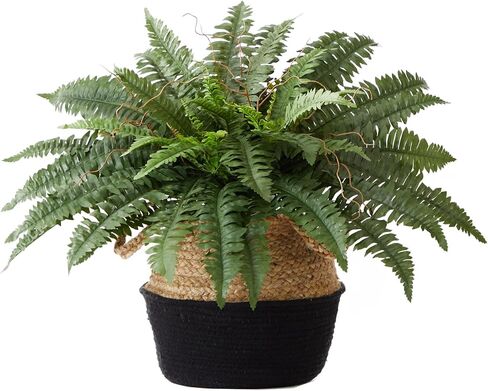 Nearly Natural 23in. Artificial Boston Fern Plant with Handmade Jute & Cotton Basket DIY KIT in Saudi Arabia