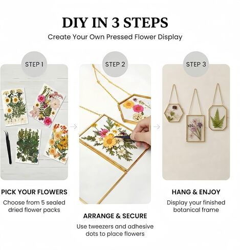 Pressed Flower Frame Kit, 4 Pack Hanging Glass Frames for Pressed Flowers with 84 Dried Flowers, Gold Double Glass Botanical Display Frames with Tweezers & Adhesive Dots for DIY Floral Decor in Saudi Arabia