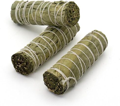 Eucalyptus Smudge Sticks – 4-Inch Three Pack | Natural Eucalyptus Bundles for Meditation, Rituals, Space Cleansing, and Sage Smudge Stick Practices in Saudi Arabia