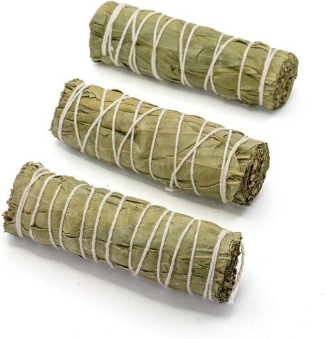 Eucalyptus Smudge Sticks – 4-Inch Three Pack | Natural Eucalyptus Bundles for Meditation, Rituals, Space Cleansing, and Sage Smudge Stick Practices in Saudi Arabia