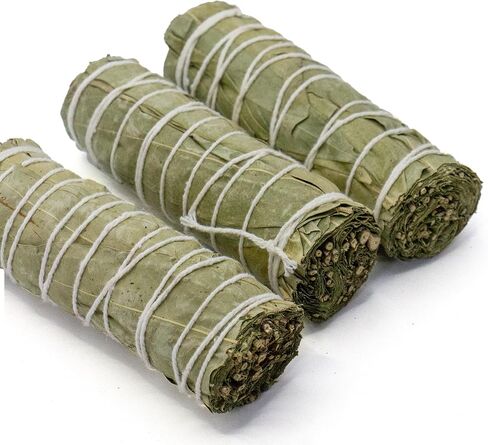 Eucalyptus Smudge Sticks – 4-Inch Three Pack | Natural Eucalyptus Bundles for Meditation, Rituals, Space Cleansing, and Sage Smudge Stick Practices in Saudi Arabia