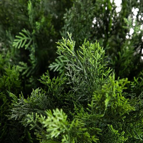 Nearly Natural 5-FT Artificial Cedar Bush, Indoor/Outdoor UV Resistant Faux Cedar Bush in Black Nursery for Front Porch Décor, Artificial Shrubs for Outdoors in Saudi Arabia