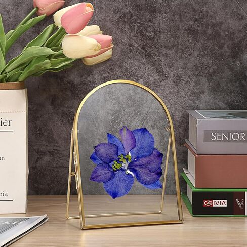 JUXYES 3 Pack Tabletop Double Glass Brass Frame for Pressed Flowers, Arch Double Sided Glass Frame Gold Floating Artwork Display Frames for Photo, Picture, Dried Pressed Flower, etc, 5x7 Inches in Kuwait