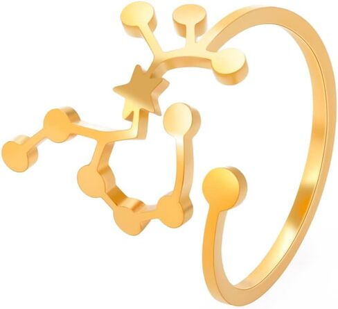 Stainless Steel Adjustable 12 Zodiac Sign Rings for Women Constellation Ring Gift for Girlfriend Birthday in Saudi Arabia