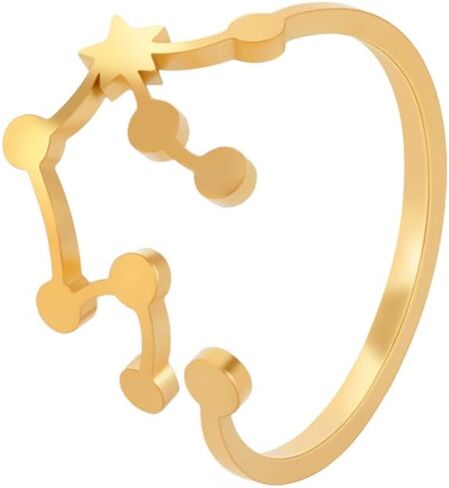 Stainless Steel Adjustable 12 Zodiac Sign Rings for Women Constellation Ring Gift for Girlfriend Birthday in Saudi Arabia