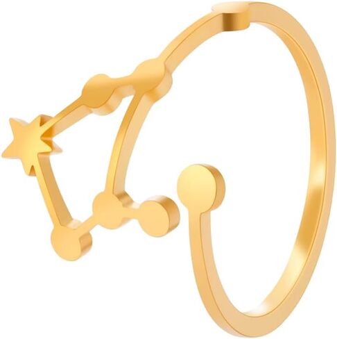 Stainless Steel Adjustable 12 Zodiac Sign Rings for Women Constellation Ring Gift for Girlfriend Birthday in Saudi Arabia