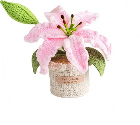 Handmade Potted Crochet Lily Flower,Artificial Lily Flowers Plants with Realistic Stamen, Mini Knitted Floral Lilies for Desk Decoration& Gift, 5.9 Inches Tall (Rose Red) in Saudi Arabia
