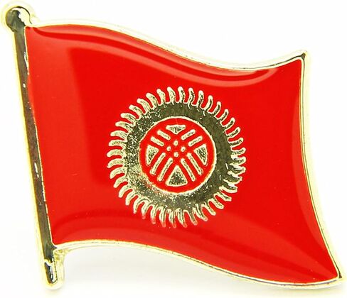 Uijodif 1PCS National Flag3 Enamel Badge, National Flag Pattern, Metal Brooch, 0.63 x 0.75 Inches in Saudi Arabia