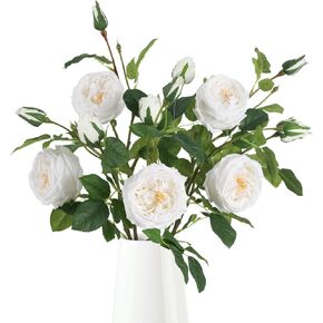 Real Touch Austin Roses Peonies Artificial Flowers 4 Bouquets Latex Fake Peonies with Long Stem Realistic Faux Peonies Flower for Wedding Party Home Table Centerpieces Decorations (Champagne) in Saudi Arabia