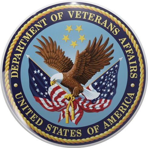 US Department of Veterans Affairs Metal Lapel Hat Pin Tie Tack Pinback 0.75" in Saudi Arabia