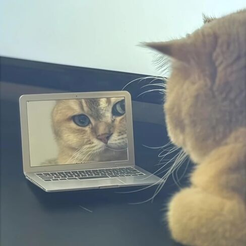 كمبيوتر محمول صغير مبتكر مع مرآة مكياج، زينة عملية لتزيين المنزل، قابل للطي، مناسب للخروج والسفر (فضي) in Kuwait