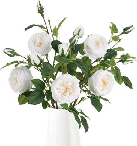 Real Touch Austin Roses Peonies Artificial Flowers 4 Bouquets Latex Fake Peonies with Long Stem Realistic Faux Peonies Flower for Wedding Party Home Table Centerpieces Decorations (Champagne) in Saudi Arabia